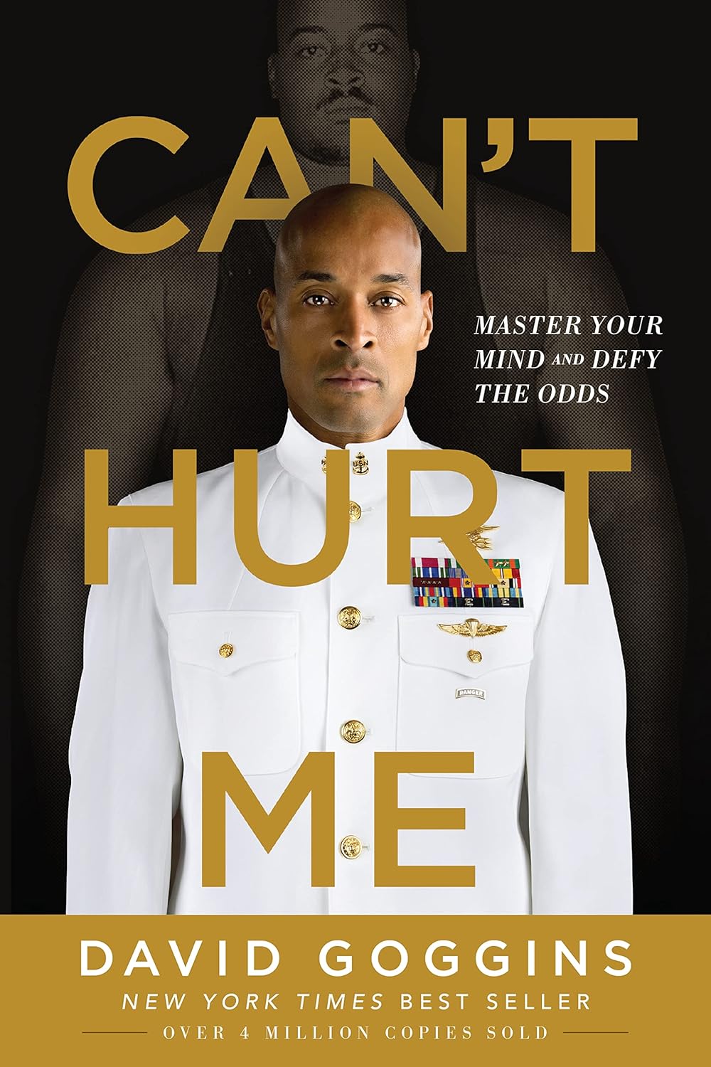 Can't Hurt Me (Paperback)