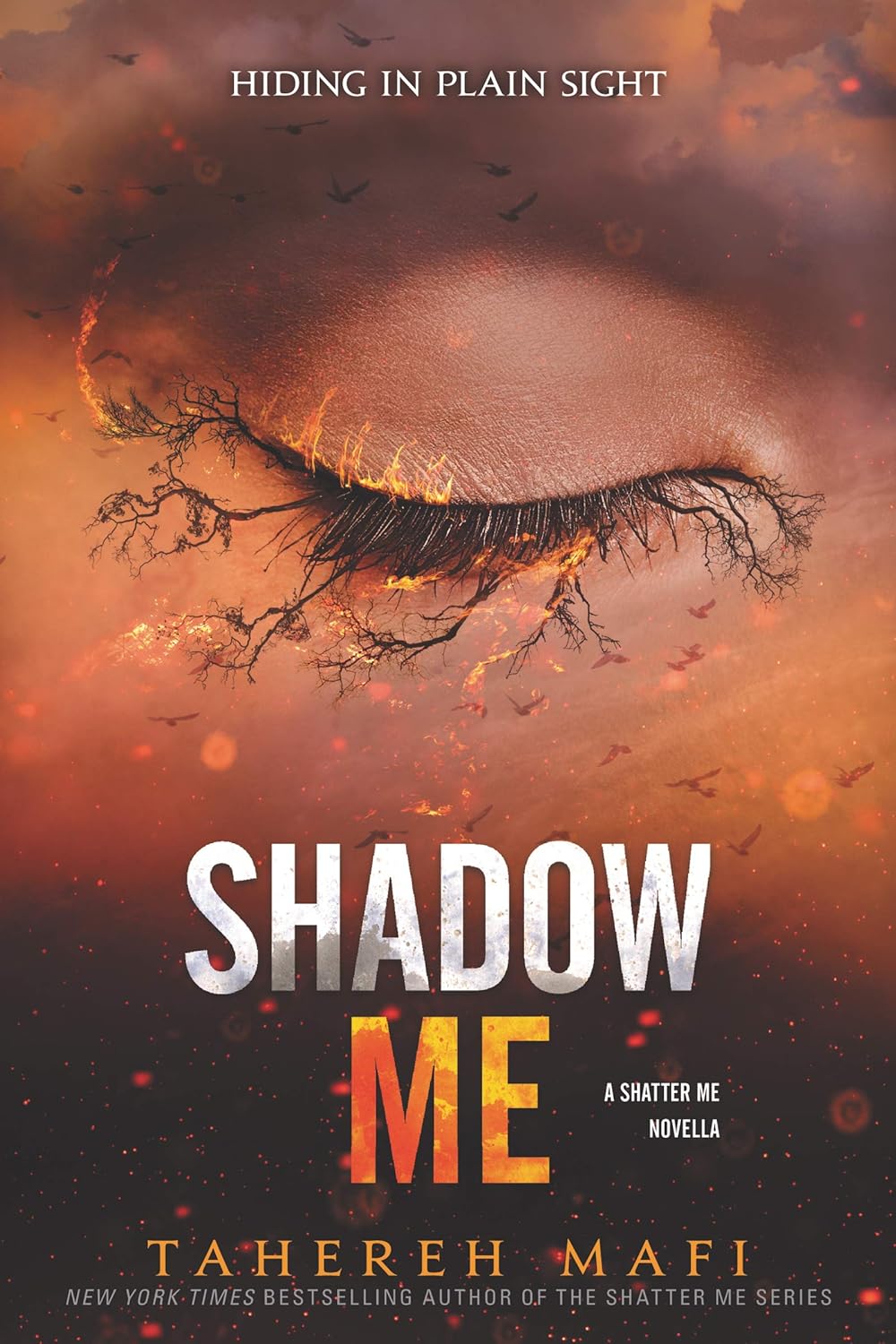 Shadow Me by Tahereh Mafi + Defy Me